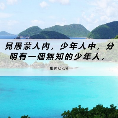 Picture 06 - 箴 言 7:7 CUVT - 見 愚 蒙 人 內 ， 少 年 人 中 ， 分 - Bible Verse Picture