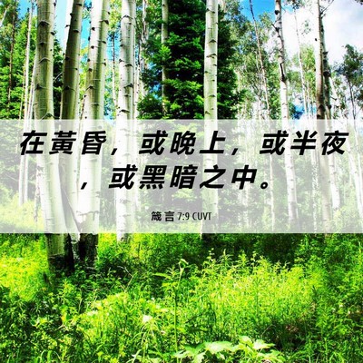 Picture 06 - 箴 言 7:9 CUVT - 在 黃 昏 ， 或 晚 上 ， 或 半 夜 ， - Bible Verse Picture