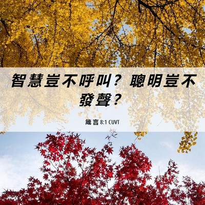Picture 06 - 箴 言 8:1 CUVT - 智 慧 豈 不 呼 叫 ？ 聰 明 豈 不 發 - Bible Verse Picture