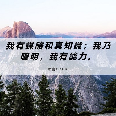 Picture 06 - 箴 言 8:14 CUVT - 我 有 謀 略 和 真 知 識 ； 我 乃 聰 - Bible Verse Picture