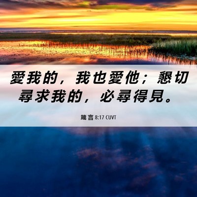 Picture 06 - 箴 言 8:17 CUVT - 愛 我 的 ， 我 也 愛 他 ； 懇 切 尋 - Bible Verse Picture