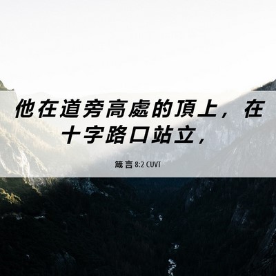 Picture 06 - 箴 言 8:2 CUVT - 他 在 道 旁 高 處 的 頂 上 ， 在 十 - Bible Verse Picture