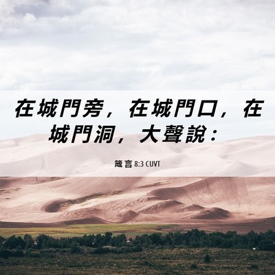 Picture 06 - 箴 言 8:3 CUVT - 在 城 門 旁 ， 在 城 門 口 ， 在 城 - Bible Verse Picture
