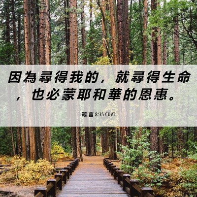 Picture 06 - 箴 言 8:35 CUVT - 因 為 尋 得 我 的 ， 就 尋 得 生 命 - Bible Verse Picture