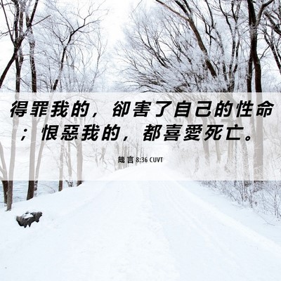 Picture 06 - 箴 言 8:36 CUVT - 得 罪 我 的 ， 卻 害 了 自 己 的 性 - Bible Verse Picture