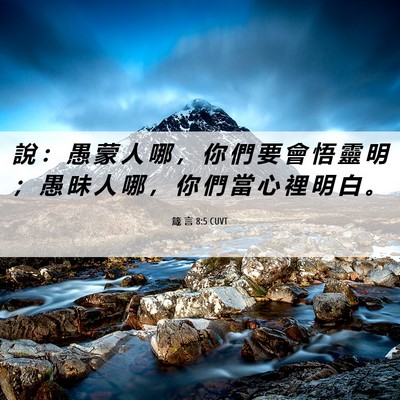 Picture 06 - 箴 言 8:5 CUVT - 說 ： 愚 蒙 人 哪 ， 你 們 要 會 悟 - Bible Verse Picture