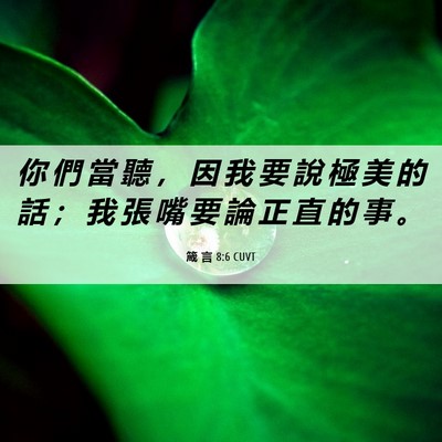 Picture 06 - 箴 言 8:6 CUVT - 你 們 當 聽 ， 因 我 要 說 極 美 的 - Bible Verse Picture