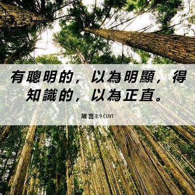 Picture 06 - 箴 言 8:9 CUVT - 有 聰 明 的 ， 以 為 明 顯 ， 得 知 - Bible Verse Picture