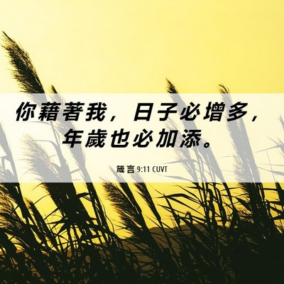 Picture 06 - 箴 言 9:11 CUVT - 你 藉 著 我 ， 日 子 必 增 多 ， 年 - Bible Verse Picture