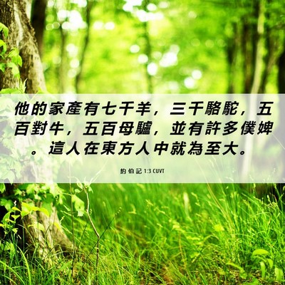 Picture 06 - 約 伯 記 1:3 CUVT - 他 的 家 產 有 七 千 羊 ， 三 千 駱 - Bible Verse Picture