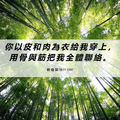 Picture 06 - 約 伯 記 10:11 CUVT - 你 以 皮 和 肉 為 衣 給 我 穿 上 ， - Bible Verse Picture
