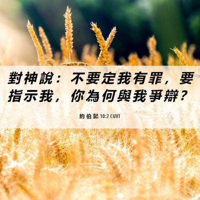 Picture 06 - 約 伯 記 10:2 CUVT - 對 神 說 ： 不 要 定 我 有 罪 ， 要 - Bible Verse Picture