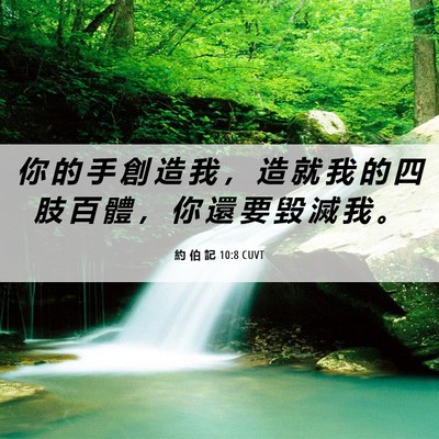 Picture 06 - 約 伯 記 10:8 CUVT - 你 的 手 創 造 我 ， 造 就 我 的 四 - Bible Verse Picture