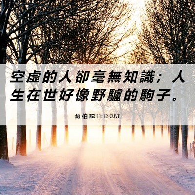 Picture 06 - 約 伯 記 11:12 CUVT - 空 虛 的 人 卻 毫 無 知 識 ； 人 生 - Bible Verse Picture