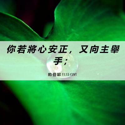 Picture 06 - 約 伯 記 11:13 CUVT - 你 若 將 心 安 正 ， 又 向 主 舉 手 - Bible Verse Picture