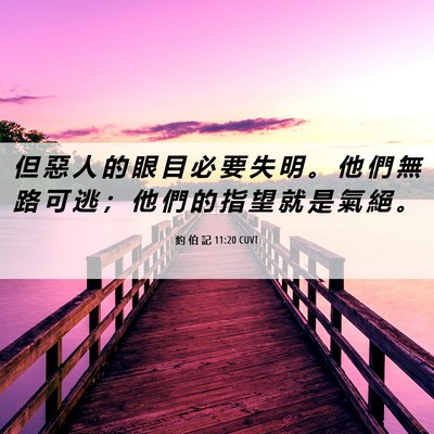 Picture 06 - 約 伯 記 11:20 CUVT - 但 惡 人 的 眼 目 必 要 失 明 。 他 - Bible Verse Picture