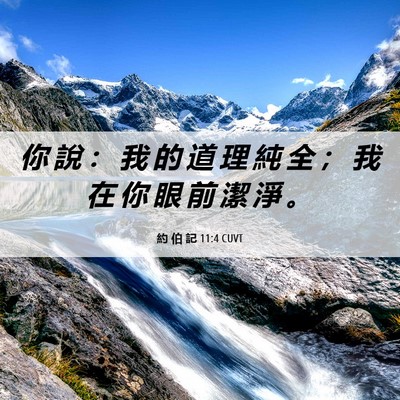 Picture 06 - 約 伯 記 11:4 CUVT - 你 說 ： 我 的 道 理 純 全 ； 我 在 - Bible Verse Picture