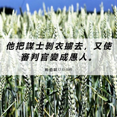 Picture 06 - 約 伯 記 12:17 CUVT - 他 把 謀 士 剝 衣 擄 去 ， 又 使 審 - Bible Verse Picture