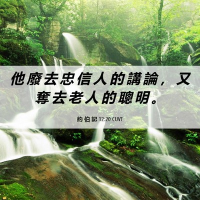 Picture 06 - 約 伯 記 12:20 CUVT - 他 廢 去 忠 信 人 的 講 論 ， 又 奪 - Bible Verse Picture