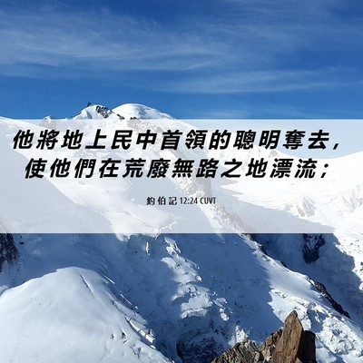 Picture 06 - 約 伯 記 12:24 CUVT - 他 將 地 上 民 中 首 領 的 聰 明 奪 - Bible Verse Picture