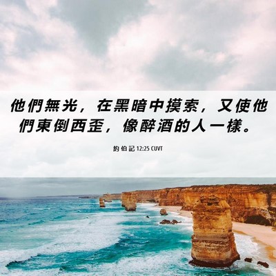 Picture 06 - 約 伯 記 12:25 CUVT - 他 們 無 光 ， 在 黑 暗 中 摸 索 ， - Bible Verse Picture