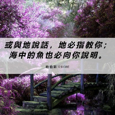Picture 06 - 約 伯 記 12:8 CUVT - 或 與 地 說 話 ， 地 必 指 教 你 ； - Bible Verse Picture