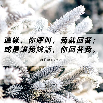 Picture 06 - 約 伯 記 13:22 CUVT - 這 樣 ， 你 呼 叫 ， 我 就 回 答 ； - Bible Verse Picture