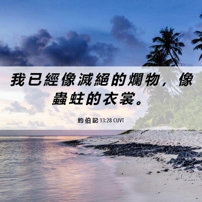 Picture 06 - 約 伯 記 13:28 CUVT - 我 已 經 像 滅 絕 的 爛 物 ， 像 蟲 - Bible Verse Picture