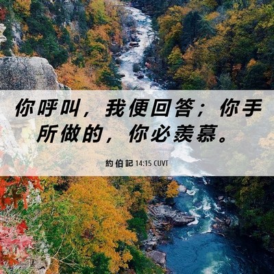 Picture 06 - 約 伯 記 14:15 CUVT - 你 呼 叫 ， 我 便 回 答 ； 你 手 所 - Bible Verse Picture