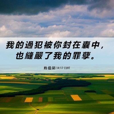 Picture 06 - 約 伯 記 14:17 CUVT - 我 的 過 犯 被 你 封 在 囊 中 ， 也 - Bible Verse Picture