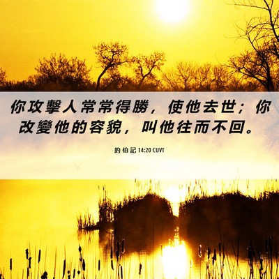 Picture 06 - 約 伯 記 14:20 CUVT - 你 攻 擊 人 常 常 得 勝 ， 使 他 去 - Bible Verse Picture