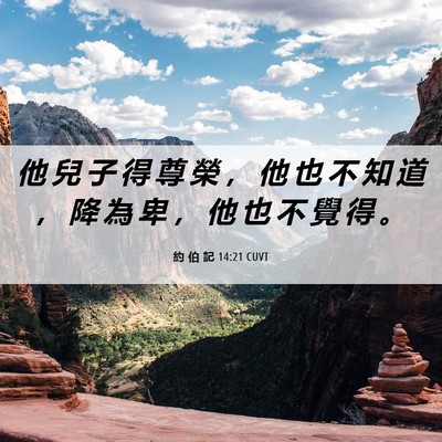 Picture 06 - 約 伯 記 14:21 CUVT - 他 兒 子 得 尊 榮 ， 他 也 不 知 道 - Bible Verse Picture