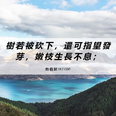 Picture 06 - 約 伯 記 14:7 CUVT - 樹 若 被 砍 下 ， 還 可 指 望 發 芽 - Bible Verse Picture