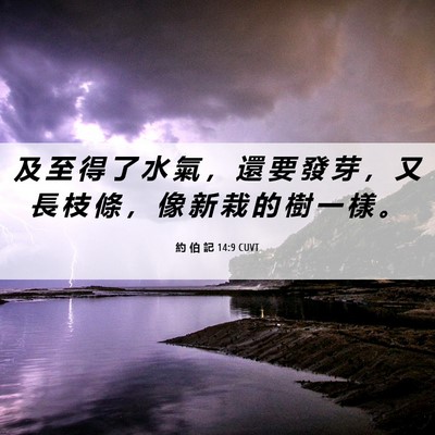 Picture 06 - 約 伯 記 14:9 CUVT - 及 至 得 了 水 氣 ， 還 要 發 芽 ， - Bible Verse Picture
