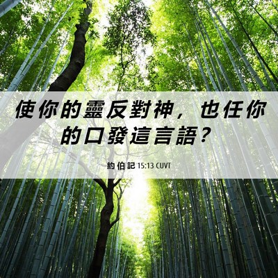 Picture 06 - 約 伯 記 15:13 CUVT - 使 你 的 靈 反 對 神 ， 也 任 你 的 - Bible Verse Picture
