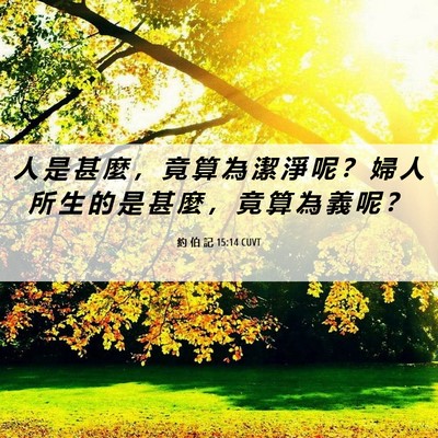 Picture 06 - 約 伯 記 15:14 CUVT - 人 是 甚 麼 ， 竟 算 為 潔 淨 呢 ？ - Bible Verse Picture