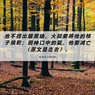 Picture 06 - 約 伯 記 15:30 CUVT - 他 不 得 出 離 黑 暗 。 火 燄 要 將 - Bible Verse Picture