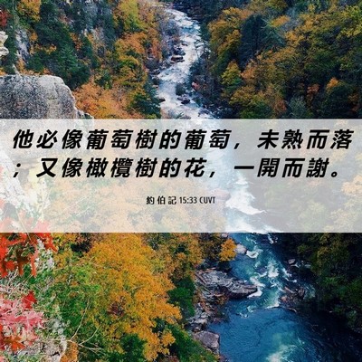Picture 06 - 約 伯 記 15:33 CUVT - 他 必 像 葡 萄 樹 的 葡 萄 ， 未 熟 - Bible Verse Picture