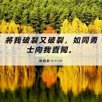 Picture 06 - 約 伯 記 16:14 CUVT - 將 我 破 裂 又 破 裂 ， 如 同 勇 士 - Bible Verse Picture