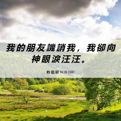 Picture 06 - 約 伯 記 16:20 CUVT - 我 的 朋 友 譏 誚 我 ， 我 卻 向 神 - Bible Verse Picture