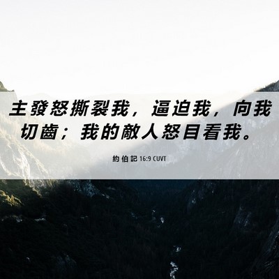 Picture 06 - 約 伯 記 16:9 CUVT - 主 發 怒 撕 裂 我 ， 逼 迫 我 ， 向 - Bible Verse Picture