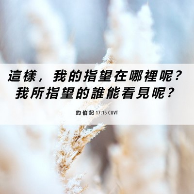 Picture 06 - 約 伯 記 17:15 CUVT - 這 樣 ， 我 的 指 望 在 哪 裡 呢 ？ - Bible Verse Picture