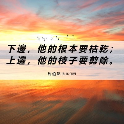 Picture 06 - 約 伯 記 18:16 CUVT - 下 邊 ， 他 的 根 本 要 枯 乾 ； 上 - Bible Verse Picture