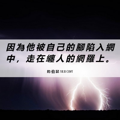 Picture 06 - 約 伯 記 18:8 CUVT - 因 為 他 被 自 己 的 腳 陷 入 網 中 - Bible Verse Picture