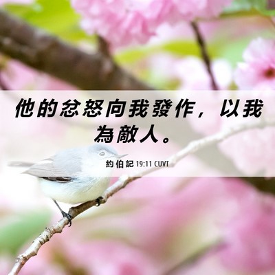 Picture 06 - 約 伯 記 19:11 CUVT - 他 的 忿 怒 向 我 發 作 ， 以 我 為 - Bible Verse Picture