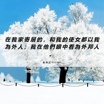Picture 06 - 約 伯 記 19:15 CUVT - 在 我 家 寄 居 的 ， 和 我 的 使 女 - Bible Verse Picture