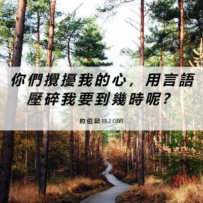 Picture 06 - 約 伯 記 19:2 CUVT - 你 們 攪 擾 我 的 心 ， 用 言 語 壓 - Bible Verse Picture