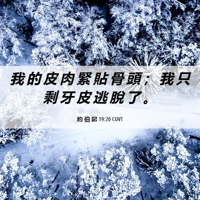 Picture 06 - 約 伯 記 19:20 CUVT - 我 的 皮 肉 緊 貼 骨 頭 ； 我 只 剩 - Bible Verse Picture