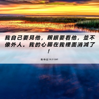 Picture 06 - 約 伯 記 19:27 CUVT - 我 自 己 要 見 他 ， 親 眼 要 看 他 - Bible Verse Picture