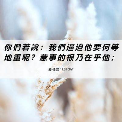 Picture 06 - 約 伯 記 19:28 CUVT - 你 們 若 說 ： 我 們 逼 迫 他 要 何 - Bible Verse Picture